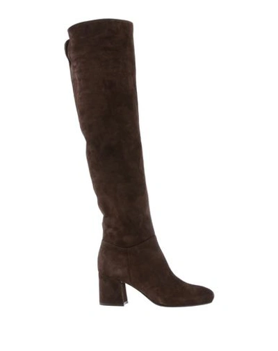Shop Le Silla Boots In Dark Brown