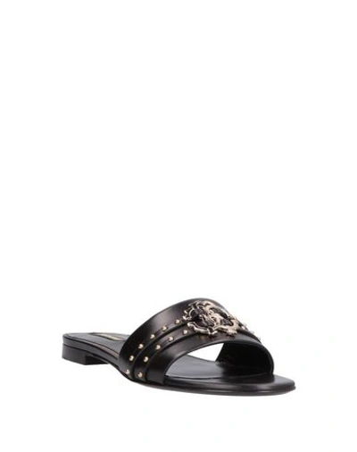 Shop Roberto Cavalli Sandals In Black