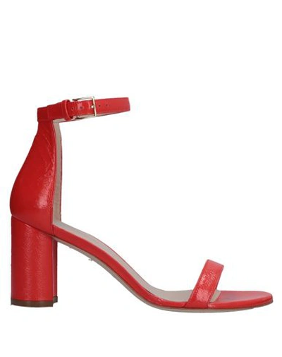 Shop Stuart Weitzman Sandals In Red