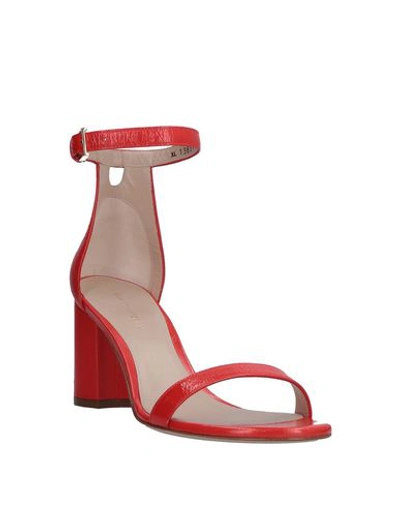 Shop Stuart Weitzman Sandals In Red