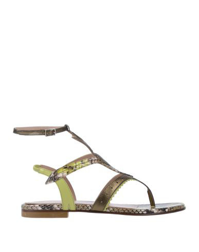 just cavalli flip flops