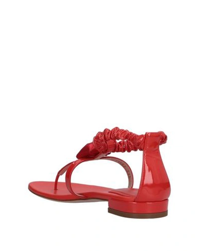 Shop Stuart Weitzman Flip Flops In Red