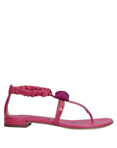 Shop Stuart Weitzman Flip Flops In Fuchsia