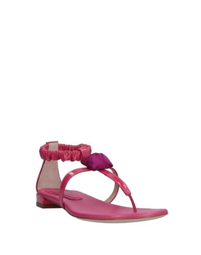 Shop Stuart Weitzman Flip Flops In Fuchsia