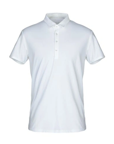 Shop Patrizia Pepe Polo Shirts In White