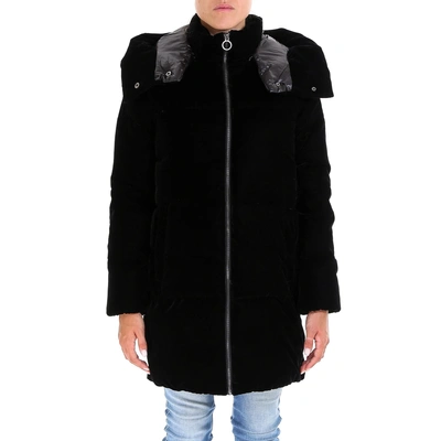 Shop Michael Michael Kors Hooded Velvet Coat In Black