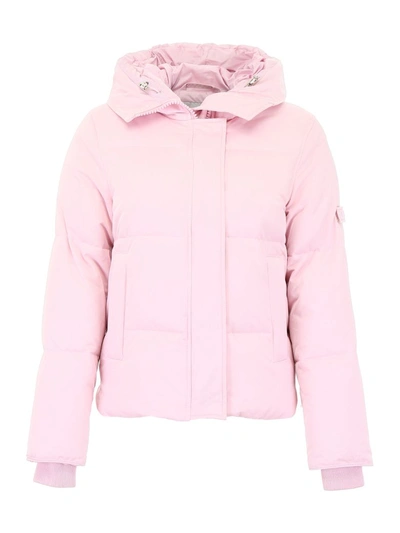 Shop Kenzo Puffer Jacket In Pink