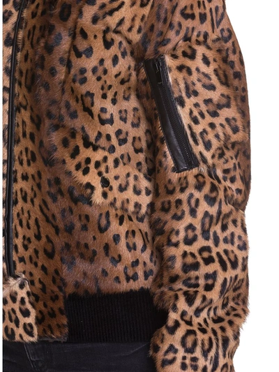 Shop Saint Laurent Leopard Print Fur Bomber Jacket In Marrone