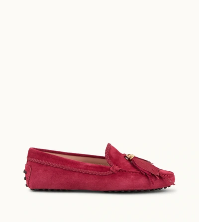 Shop Tod's Gommino Driving Shoes In Suede In Burgundy