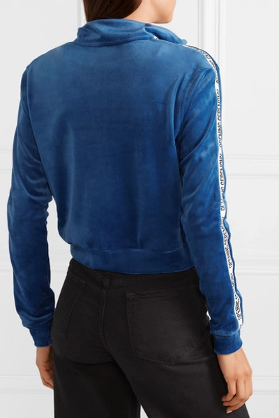 Shop Opening Ceremony Cropped Intarsia-trimmed Velour Jacket In Bright Blue