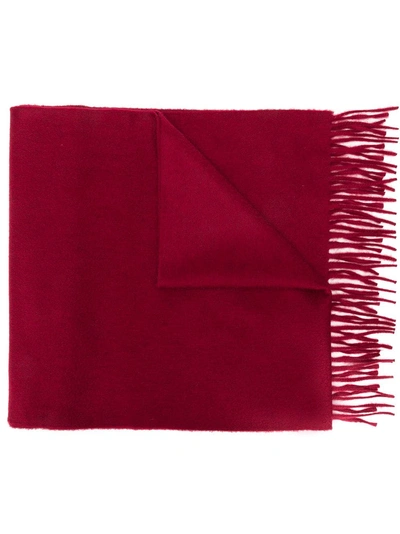 Begg & Co Fringed Edge Scarf - Red In Red