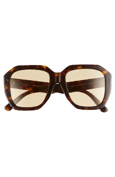 Celine 53mm Square Photochromic Sunglasses Dark Havana ModeSens