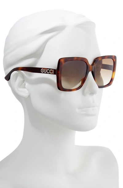 Shop Gucci 54mm Gradient Square Sunglasses - Havana/cry/ Brown Gradient