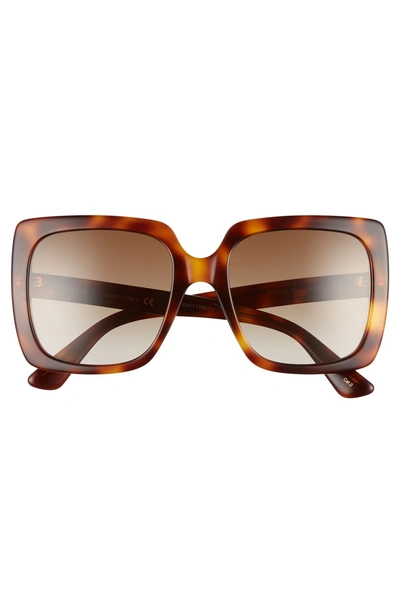 Shop Gucci 54mm Gradient Square Sunglasses - Havana/cry/ Brown Gradient