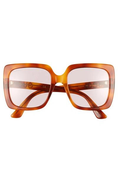 Shop Gucci 54mm Gradient Square Sunglasses - Blonde Havana/cry/solid Powder