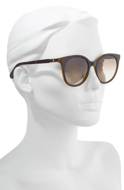 Shop Kate Spade Akayla 52mm Cat Eye Sunglasses - Dark Havana