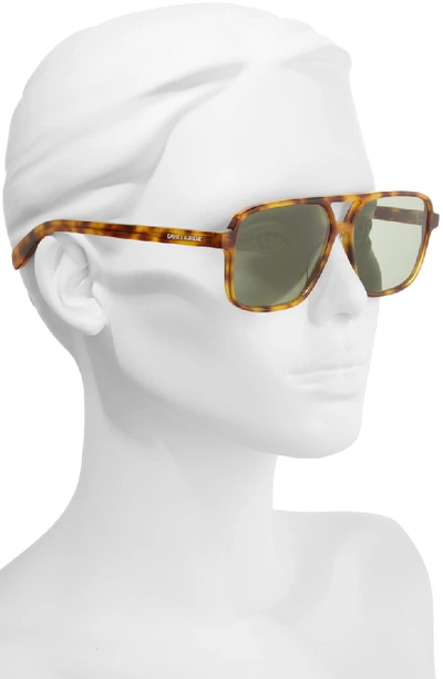 Shop Saint Laurent 58mm Square Navigator Sunglasses - Havana/ Havana/ Green