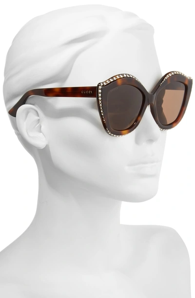 Shop Gucci 52mm Cat Eye Sunglasses In Havana/ Brown