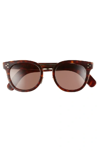 Shop Cutler And Gross 52mm Round Sunglasses In Dark Turtle/ Gold Metal
