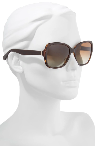 Shop Kate Spade Karalyns 56mm Polarized Sunglasses - Brown Havana Polar