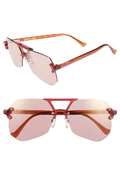 Shop Grey Ant Yesway 60mm Sunglasses In Rose Lens/ Gold Hardware