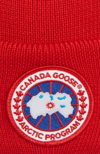 Shop Canada Goose Arctic Disc Toque Beanie In Red