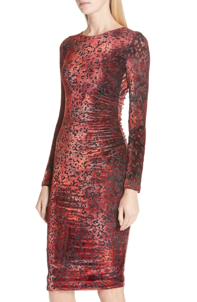 Shop Fuzzi Leopard Burnout Velvet Dress In Rosso