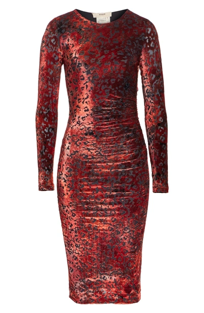 Shop Fuzzi Leopard Burnout Velvet Dress In Rosso
