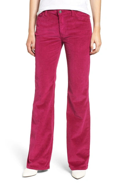 Shop Current Elliott The Jarvis High Waist Corduroy Bootcut Pants In Wild Aster