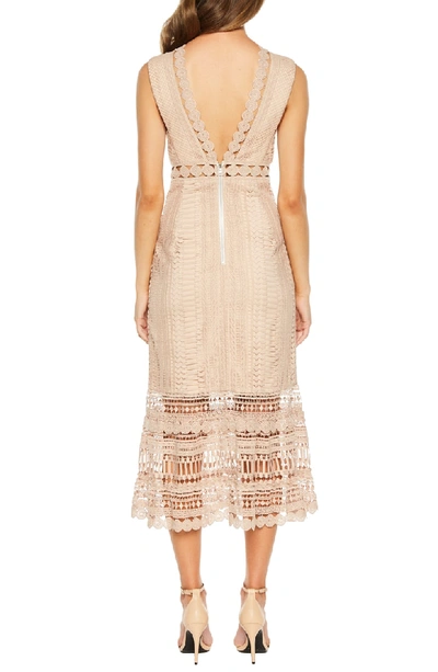 Shop Bardot Petra Lace Tea Length Dress In Pebble