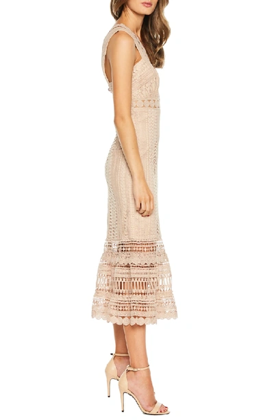 Shop Bardot Petra Lace Tea Length Dress In Pebble