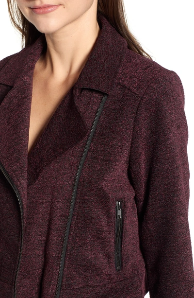Shop Cupcakes And Cashmere Chenille Crop Moto Jacket In Red Velvet