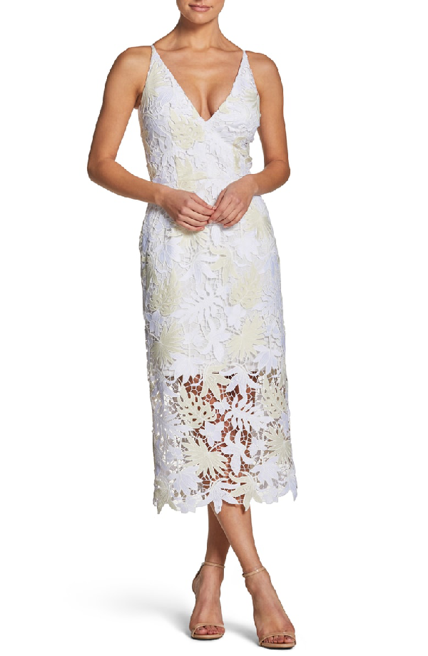 dress the population aurora lace tea length dress