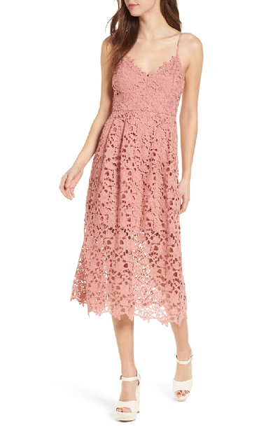 Shop Astr Lace Midi Dress In Dark Blush