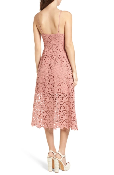 Shop Astr Lace Midi Dress In Dark Blush