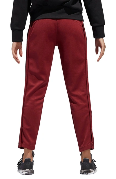 Shop Adidas Originals Tricot Snap Pants In Noble Maroon/ Night Red