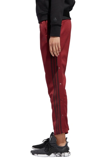 Shop Adidas Originals Tricot Snap Pants In Noble Maroon/ Night Red