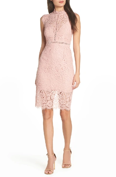 Shop Bardot Lace Sheath Dress In Pastel