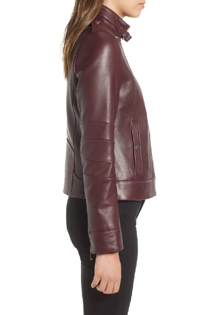 Shop Andrew Marc Smooth Leather Moto Jacket In Bordeaux