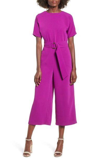 Shop June & Hudson Belted Culotte Jumpsuit In Violet