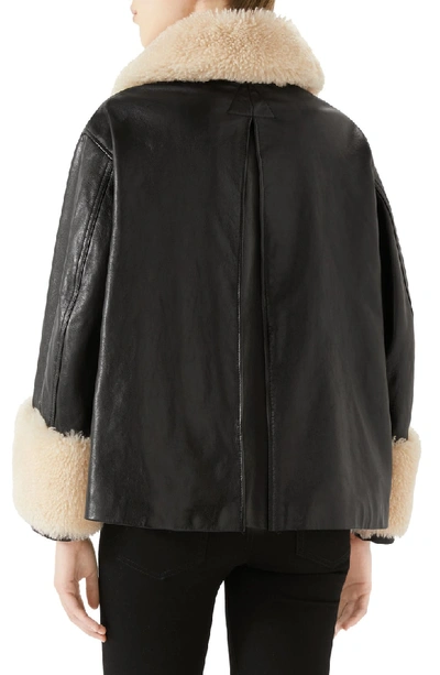 Shop Gucci Genuine Shearling Trim Leather Bomber Jacket In Black