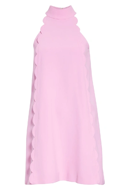 Shop Ted Baker Torrii High Neck Tunic Dress In Pale Pink
