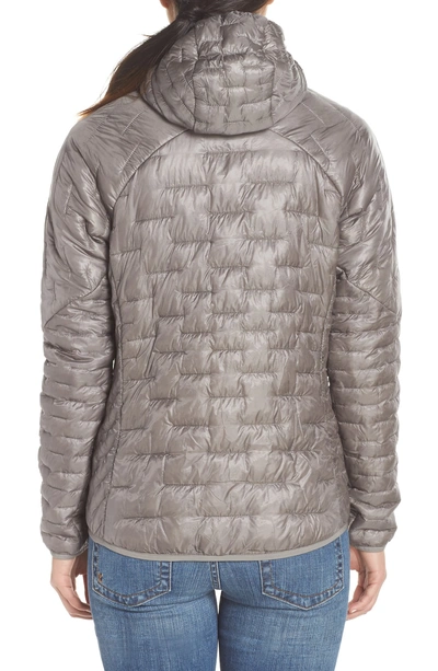 Shop Patagonia Micro Puff Hoodie In Feather Grey