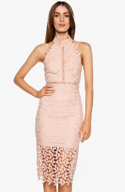 Shop Bardot Gemma Halter Lace Sheath Dress In Latte Pink