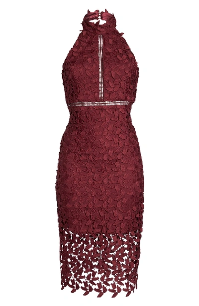 Shop Bardot Gemma Halter Lace Sheath Dress In Burgundy
