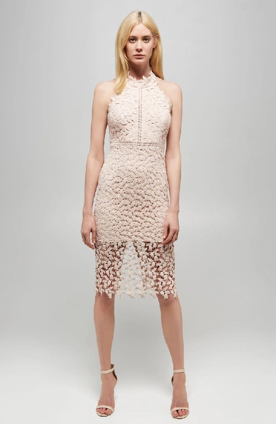 Shop Bardot Gemma Halter Lace Sheath Dress In Prosecco