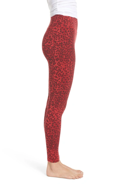 Shop Ragdoll Leopard Print Leggings In Red Leopard