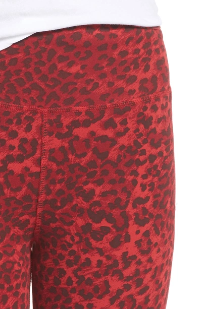 Shop Ragdoll Leopard Print Leggings In Red Leopard
