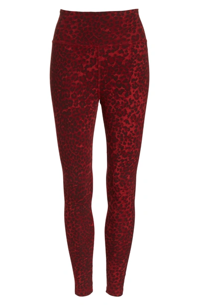 Shop Ragdoll Leopard Print Leggings In Red Leopard