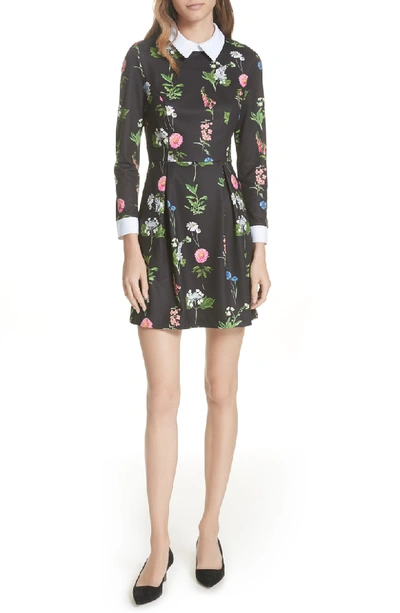 Shop Ted Baker Matredi Florence Point Collar Dress In Black